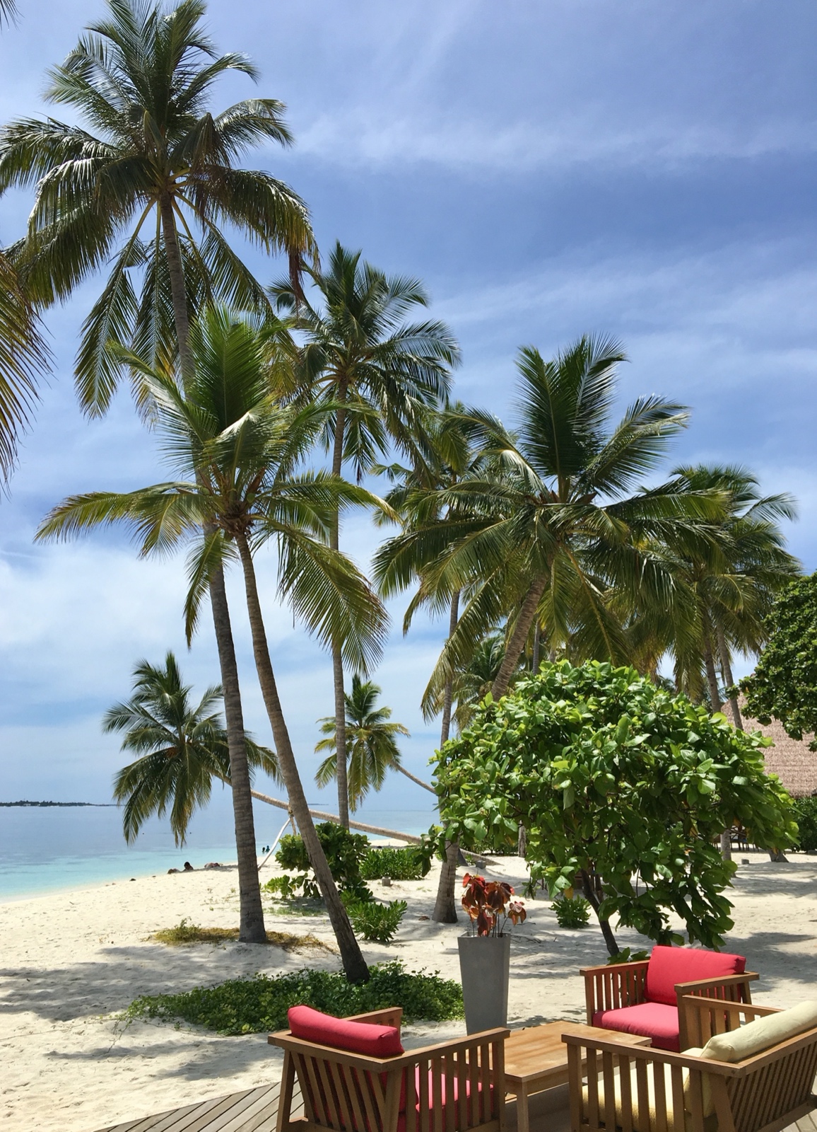 2524EB7A F043 4BA1 A1AC D894F6AC3D4A 1 201 a