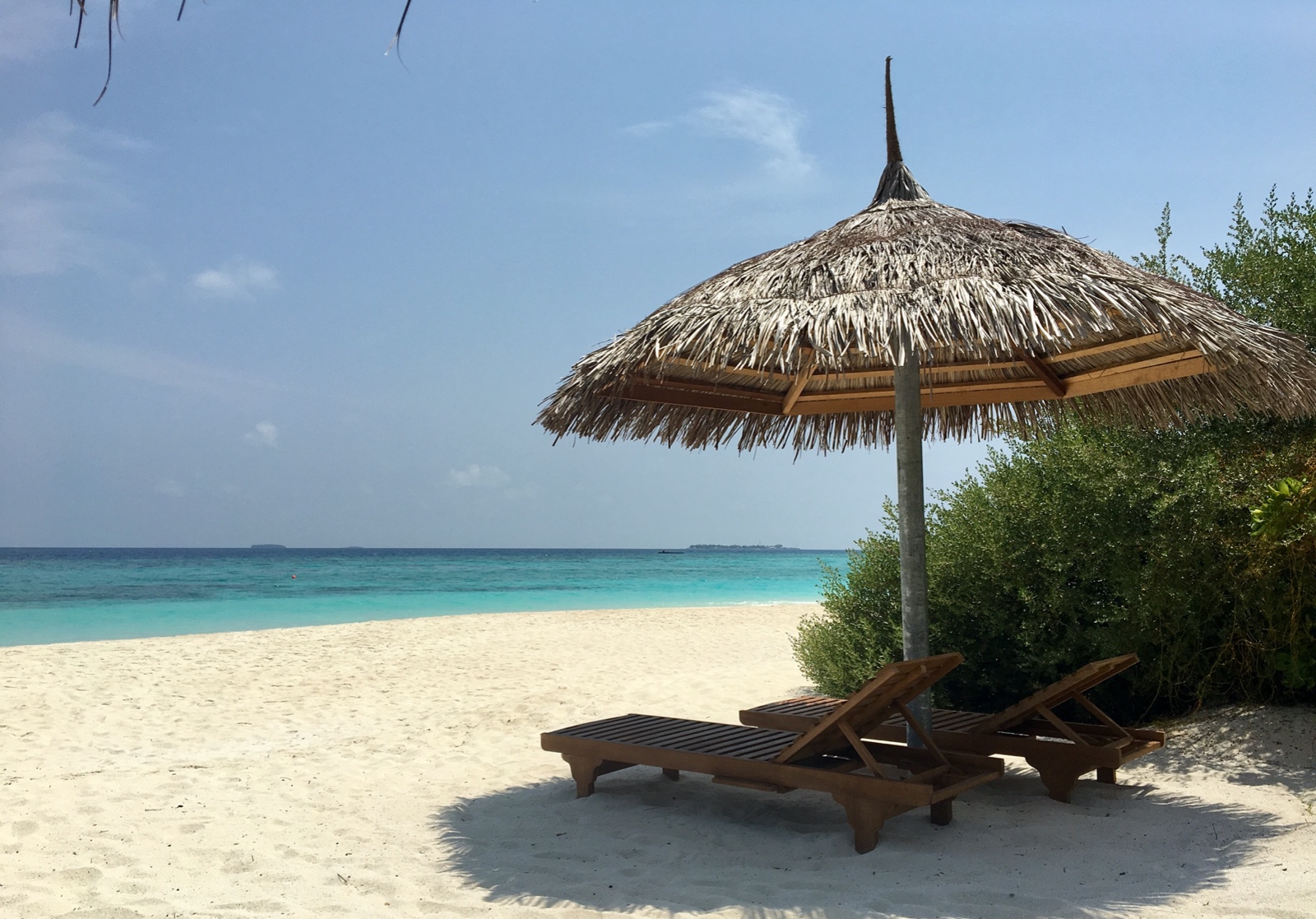 659A2159 9C88 4674 A6FD 1D3F693E79A6 1 201 a