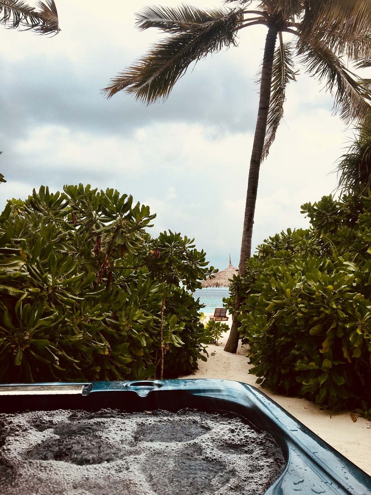 B3EE1259 03D6 401C 9018 9034B7DF005B 1 201 a