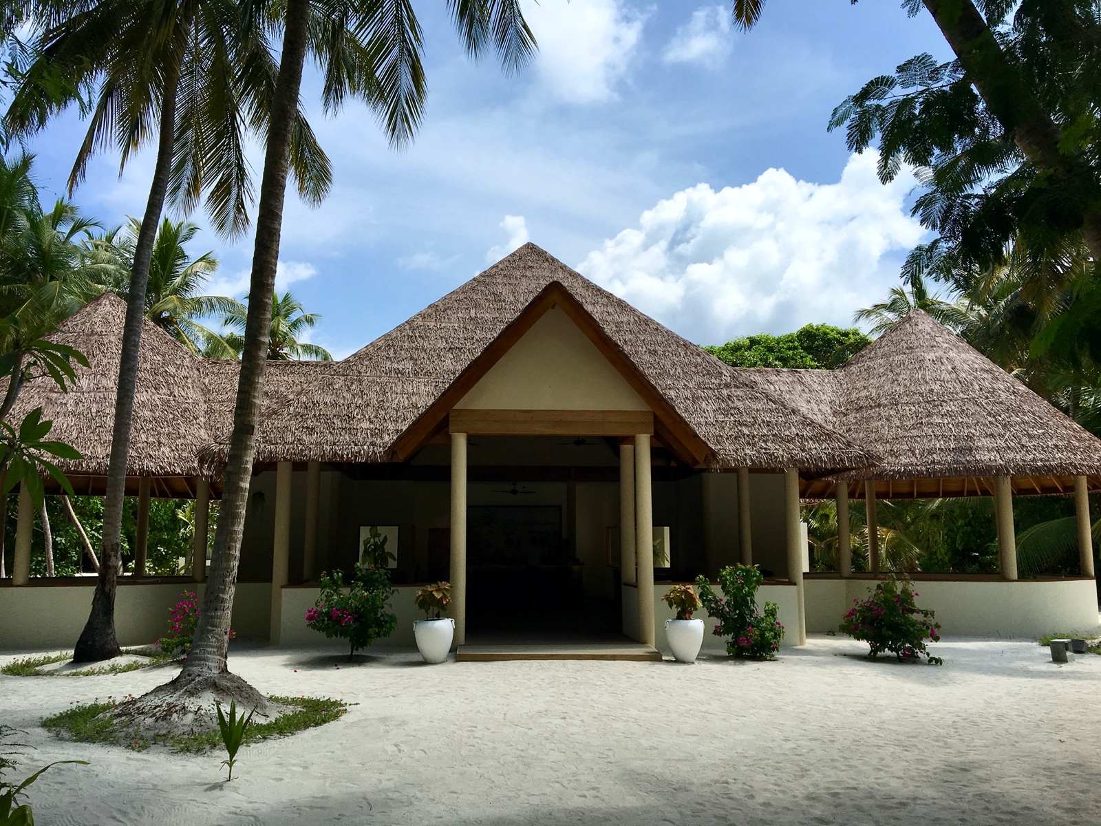 C4C4887E ED1A 4AAF AA7F 680CFA5633D5 1 201 a