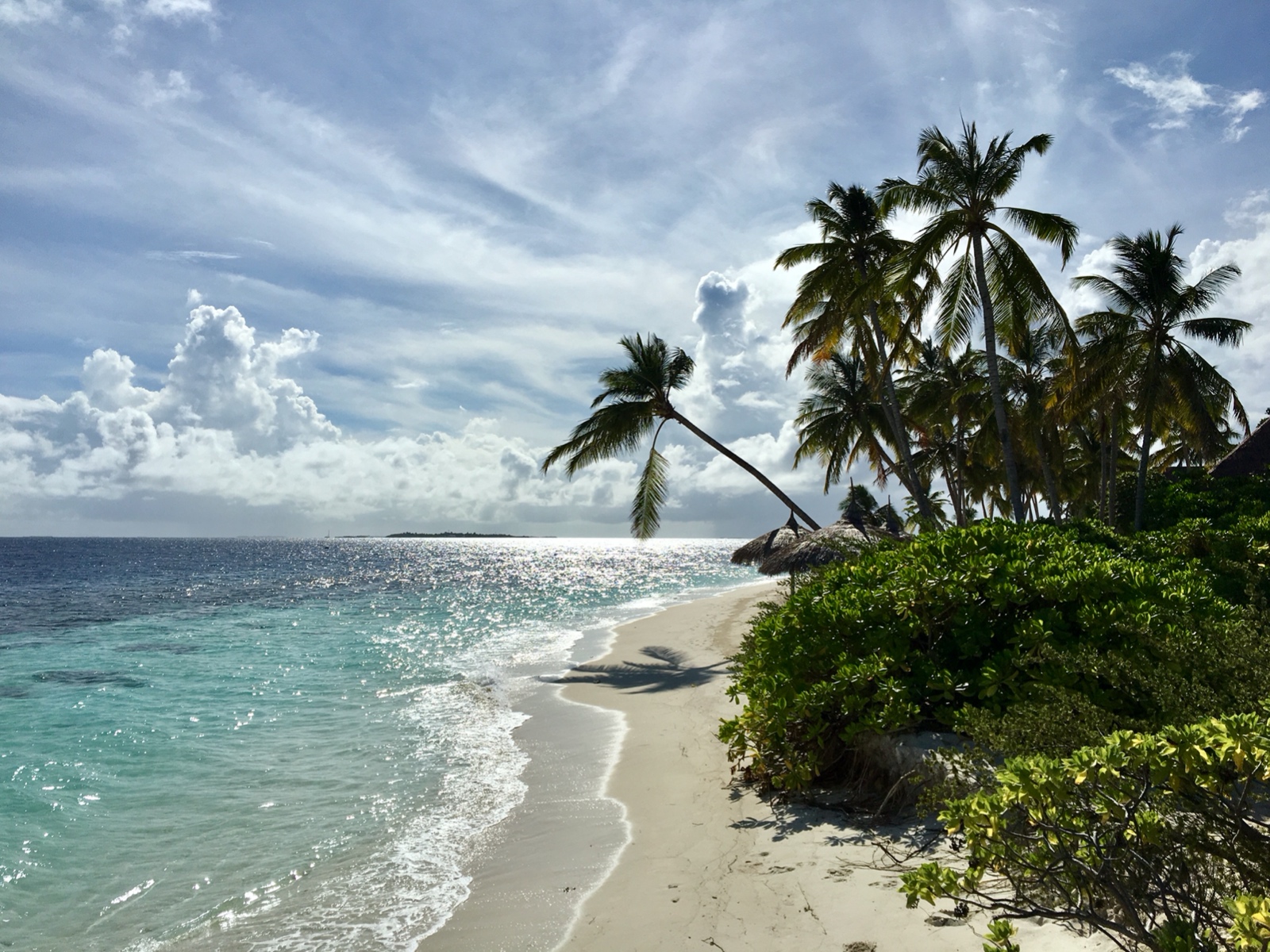 C72387B1 93BE 4691 90D8 343244EFE265 1 201 a